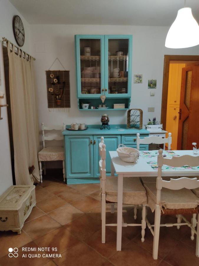 La Bouganville E Il Gelsomino Pietrasanta Zewnętrze zdjęcie