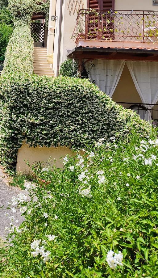 La Bouganville E Il Gelsomino Pietrasanta Zewnętrze zdjęcie