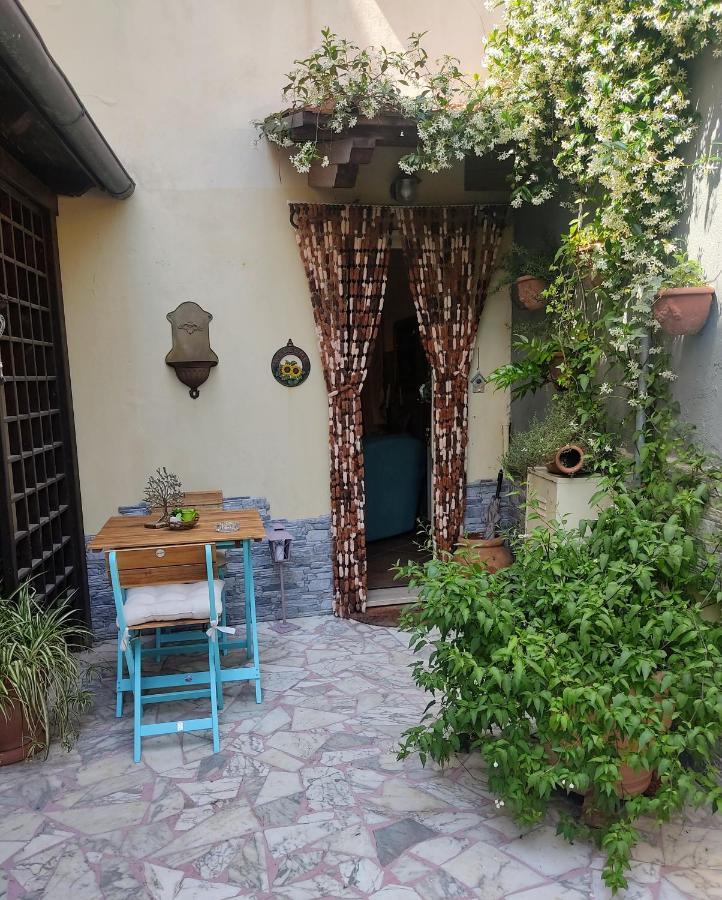 La Bouganville E Il Gelsomino Pietrasanta Zewnętrze zdjęcie