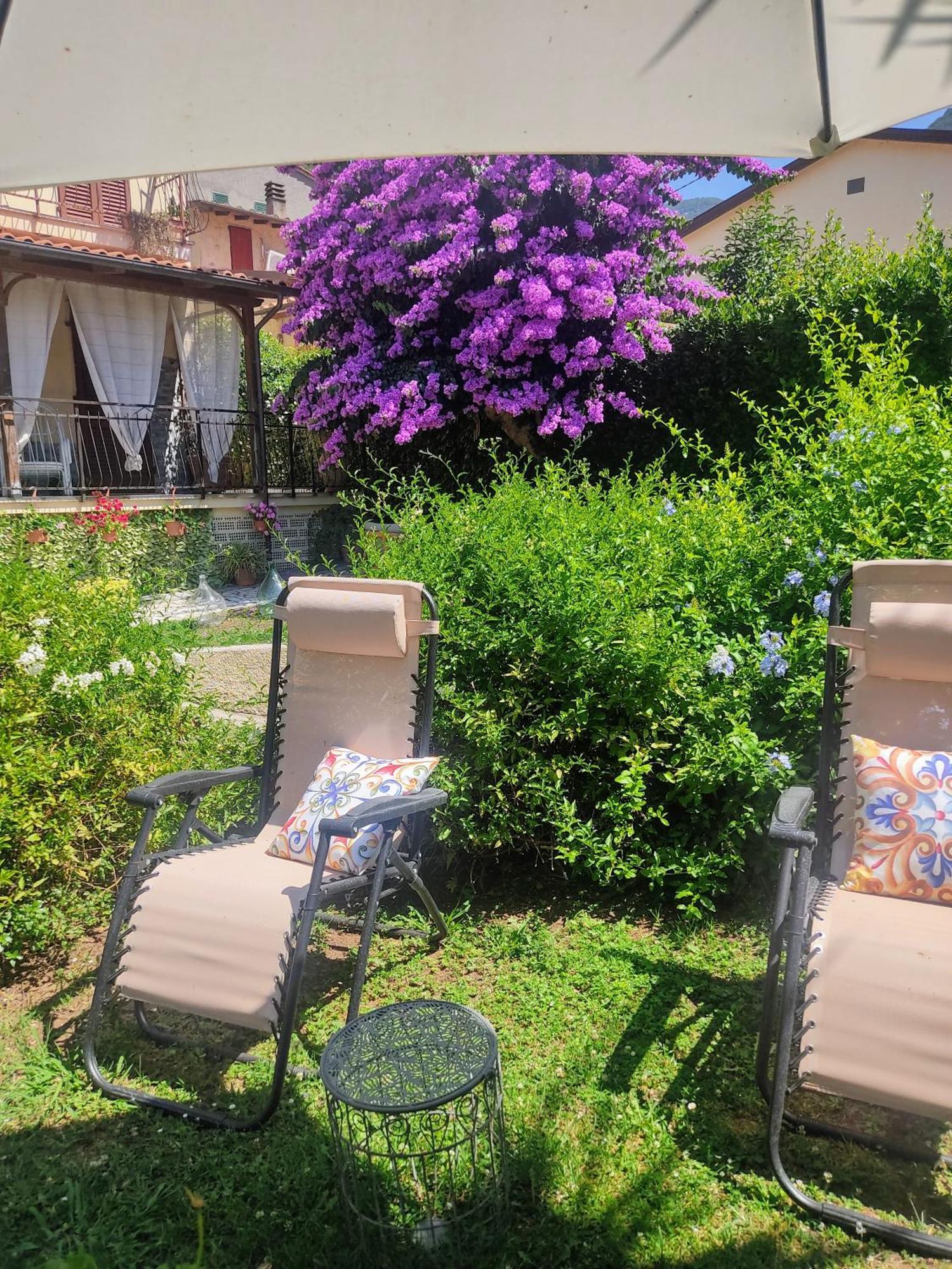 La Bouganville E Il Gelsomino Pietrasanta Zewnętrze zdjęcie